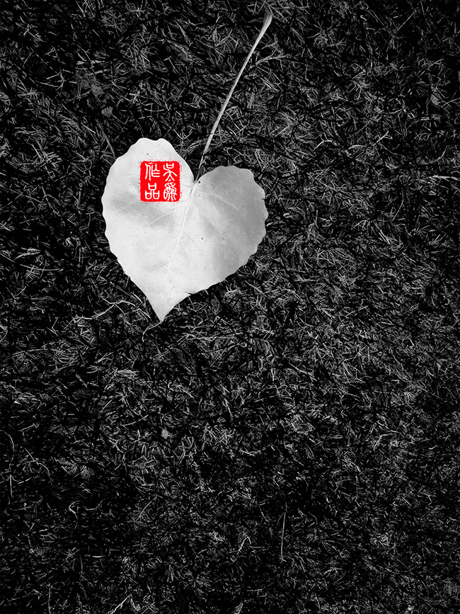 心灰