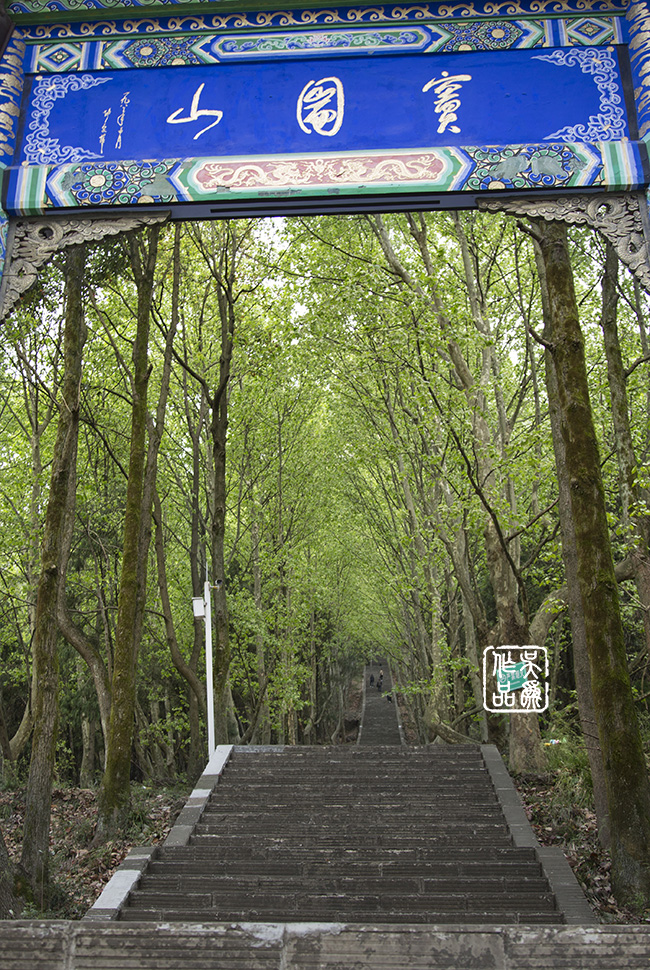 窦团山释怀